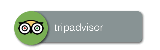 Trip Advisor